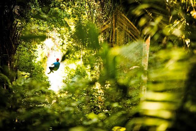 Riviera_Nayarit_Canopy